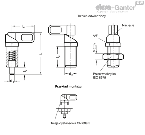 GN 612.8 Trzpienie ustalające z dźwignią | Elesa+Ganter